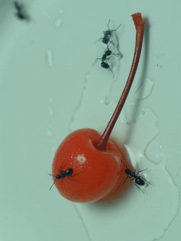 친구네 오빠들 대표 이미지