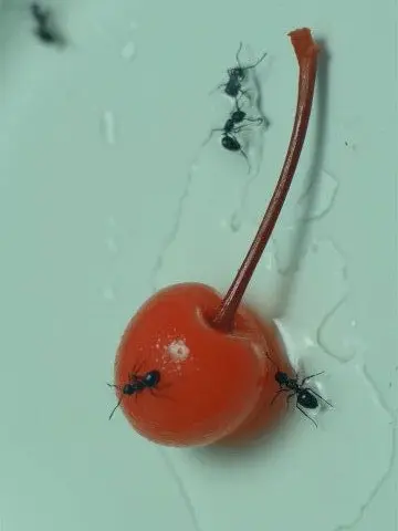 Not_my_fault의 친구네 오빠들