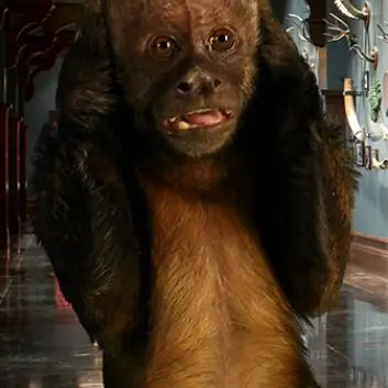 Profile image of Dexter