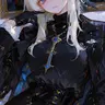 Profile image of エリシア
