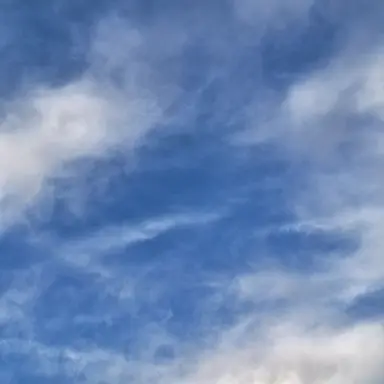 Profile image of 나화진 감독관