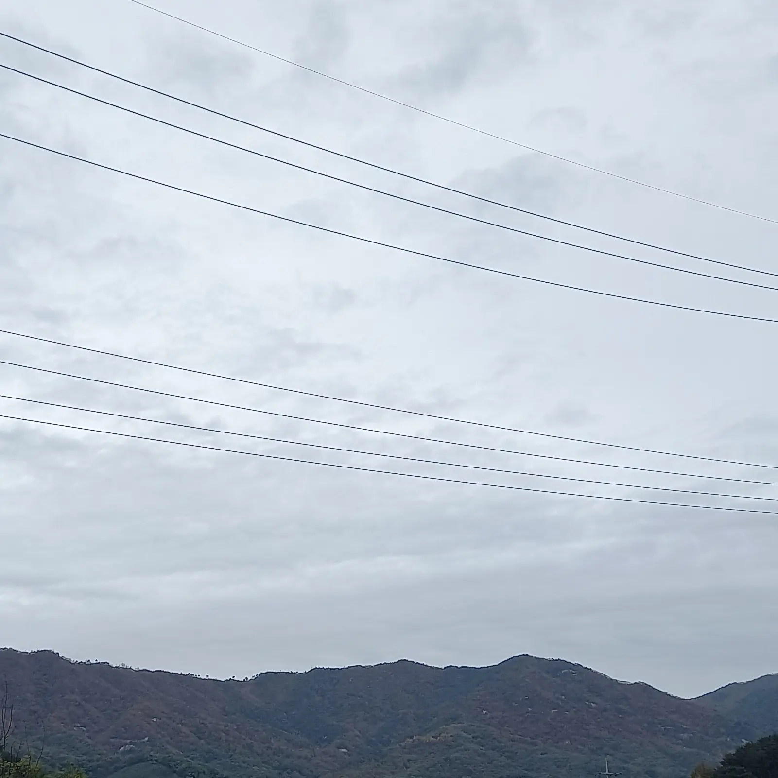 Rumi0804의 미수반