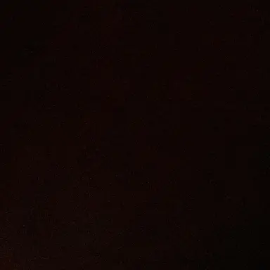 Profile image of 나비