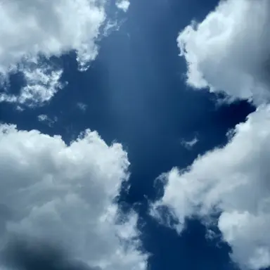 Profile image of 여우