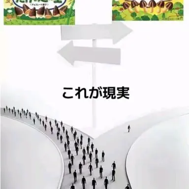 Profile image of ブリ子