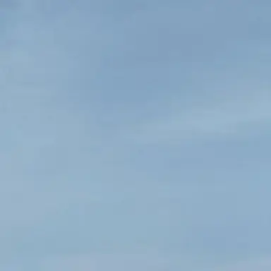 Profile image of 장하오