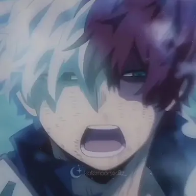 Profile image of Shoto Todoroki