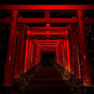 Profile image of トントン
