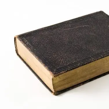 Profile image of 박하현