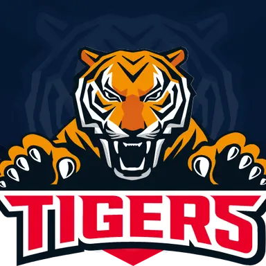 Profile image of KIA 타이거즈