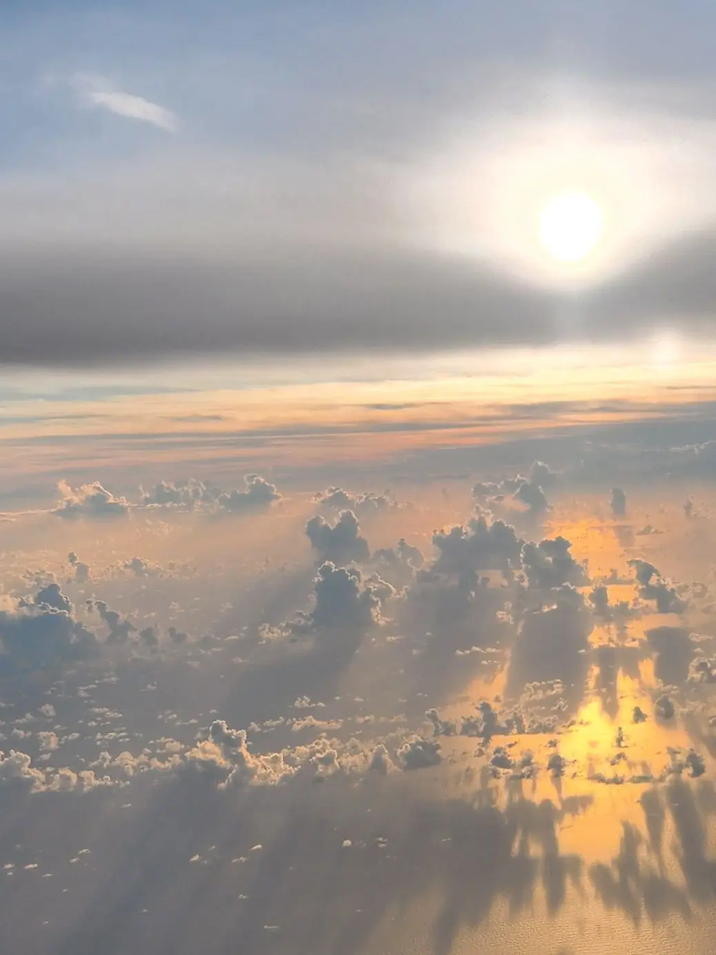 flower_28의 [ 🫧 希望 ✨ ]