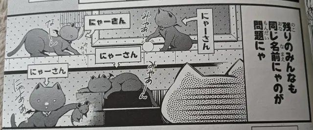 Profile image of にゃーさん