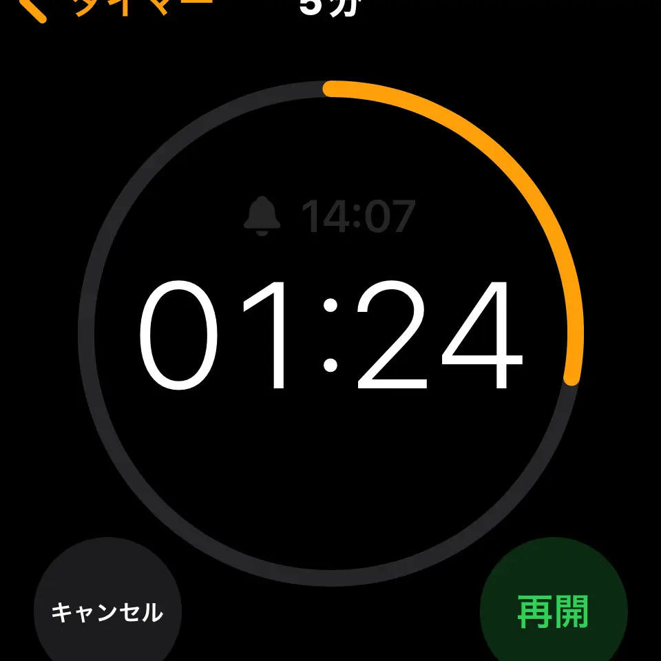RareZokor5800의 メモリア