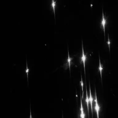 Profile image of 竜平