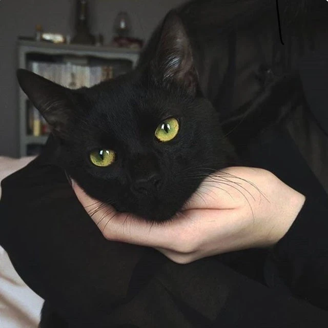 쿠리