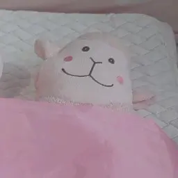 banana2929의 진보맹맹