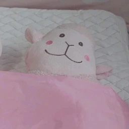 진보맹맹