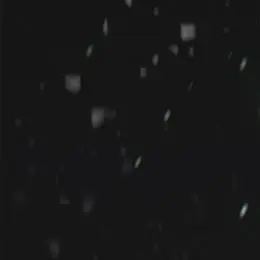 Profile image of 이찐따