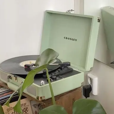 Profile image of 티푸