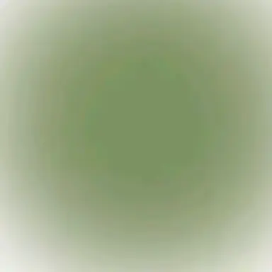 Profile image of 級長トリオ