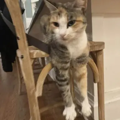 Profile image of Andi