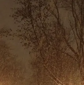 wownbaus의 개인용오오옹옹