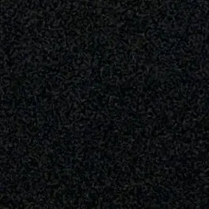 Profile image of テンシ