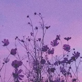 Profile image of 멜로우