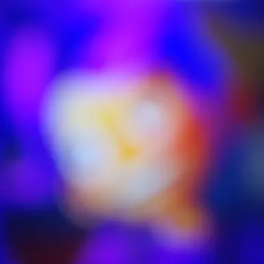 Profile image of 릴리