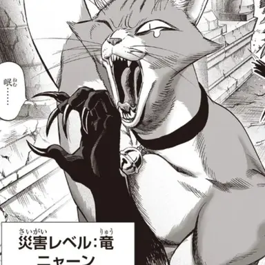 Profile image of ニャーン