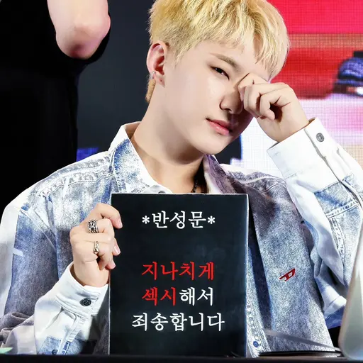 SVT_DINO의 나의 사촌오빠 권순영
