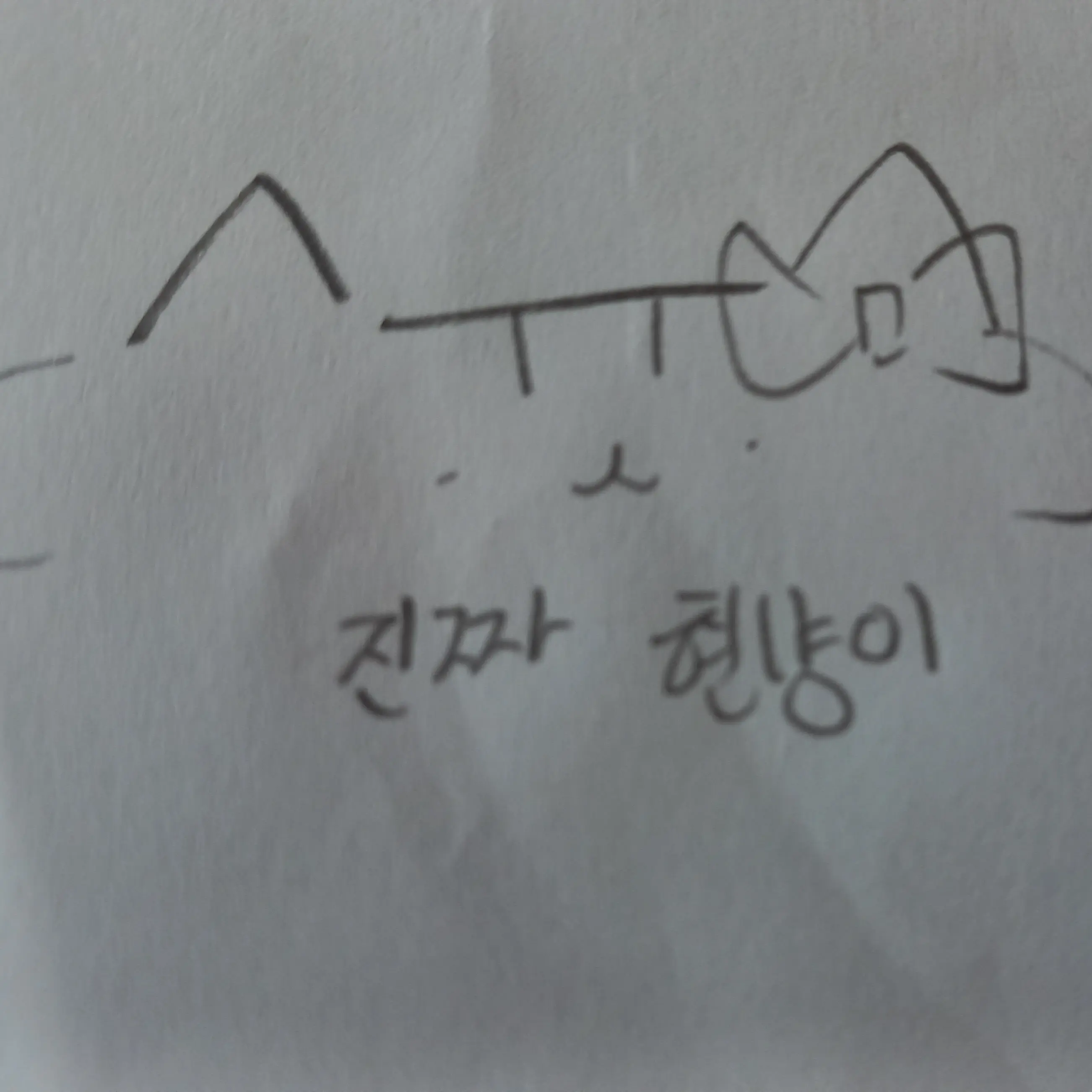 CreamArm8385의 현냥이 한테 욕좀 먹어봐!