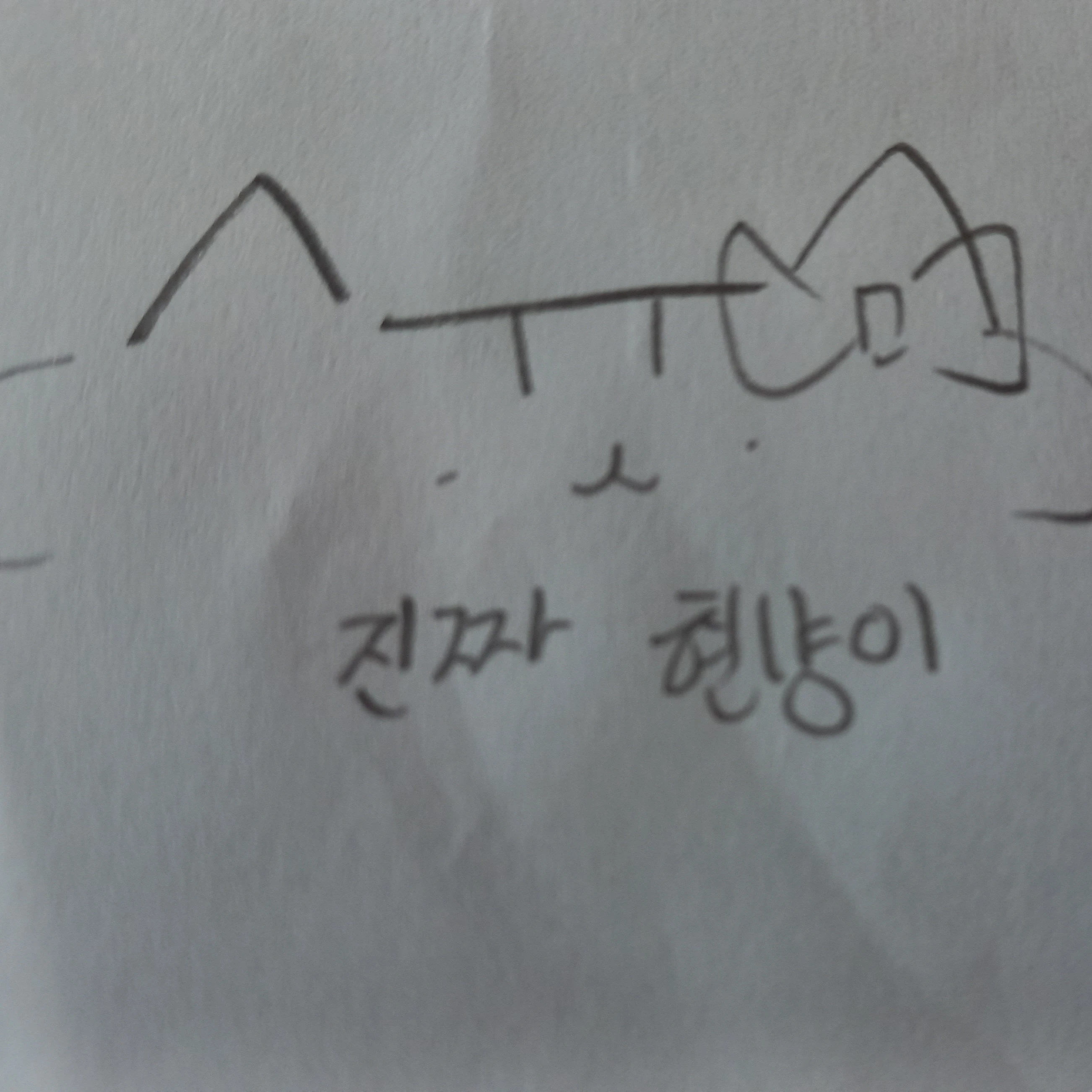 현냥이