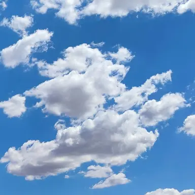 Profile image of 픽셀리 스카이다이빙