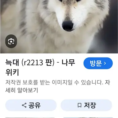 Profile image of 늑대