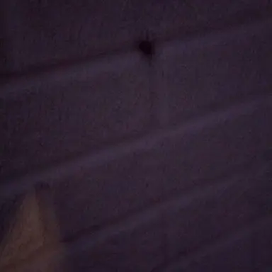 Profile image of Jenna