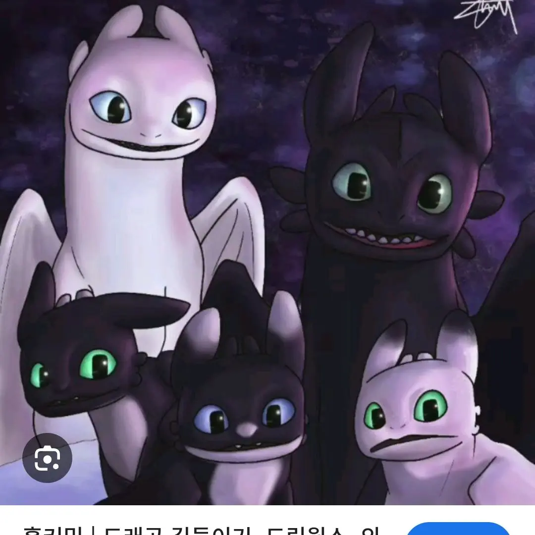 SourRazor5907의 나이트라이트🤍🖤 드래곤길들이기