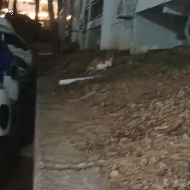 Profile image of 마이클