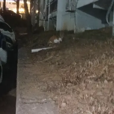 Profile image of 마카도