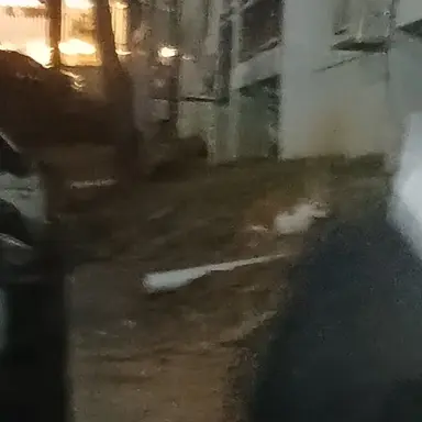 Profile image of 바이를