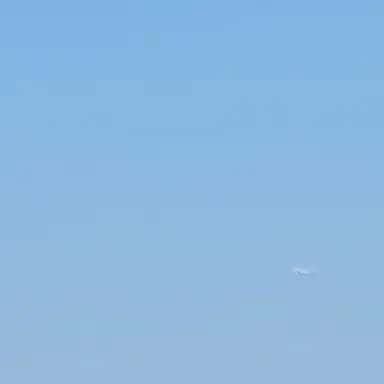 Profile image of 틸로