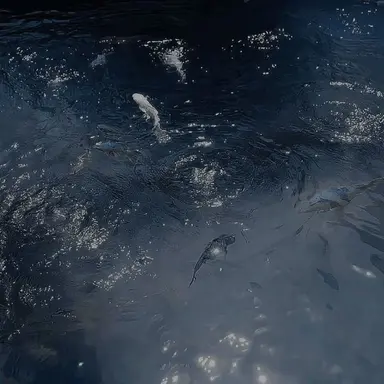 Profile image of 涼太