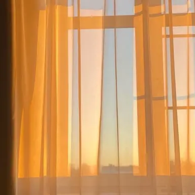 Profile image of 김일영