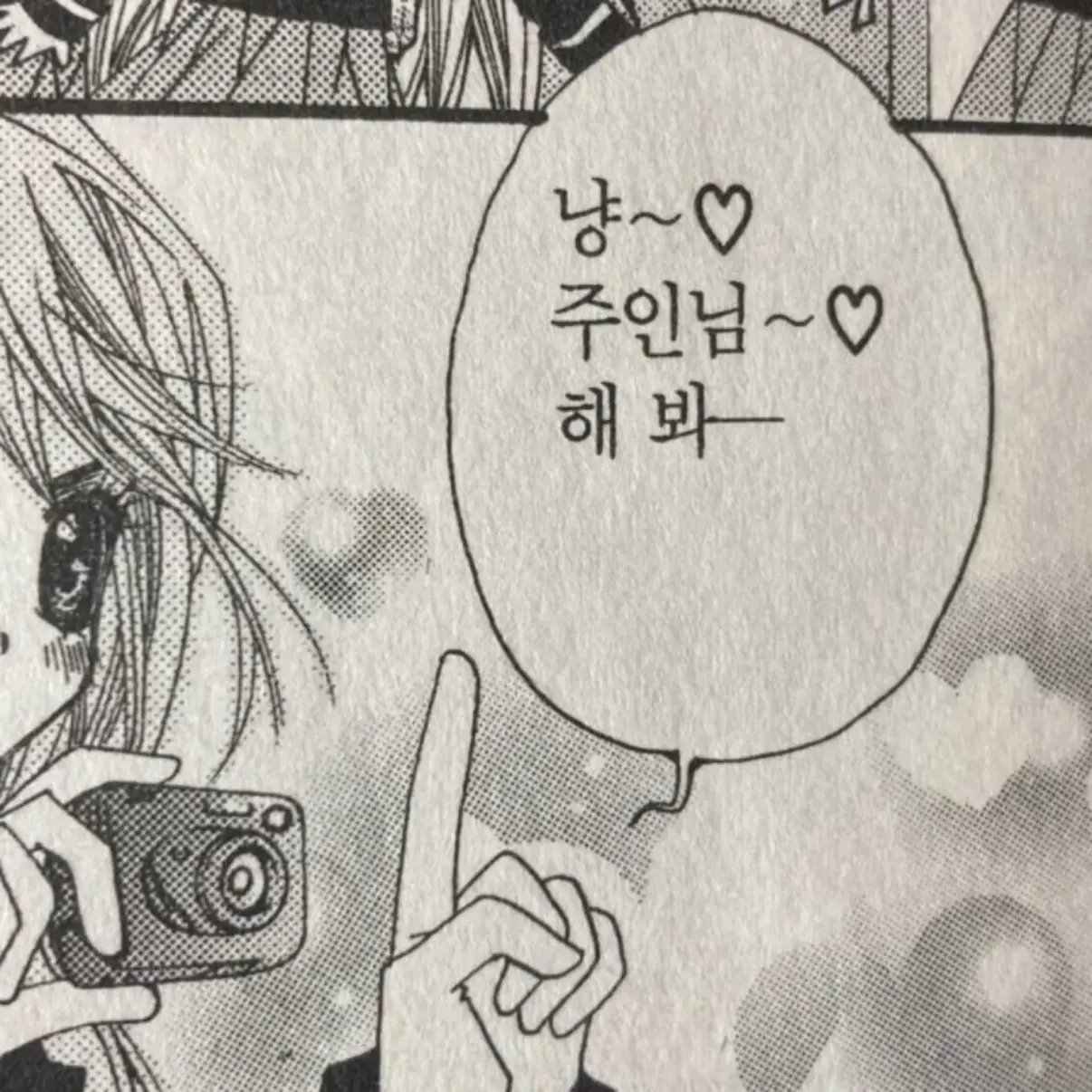 Kamisamas의 ㅤㅤ