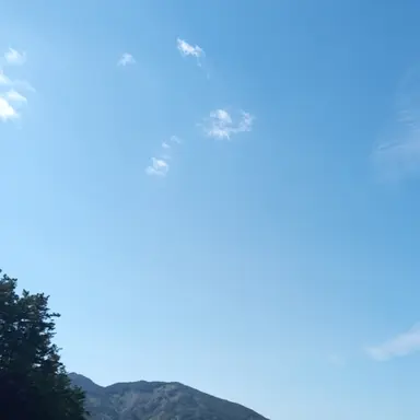 Profile image of 고고프렌즈 워크샵