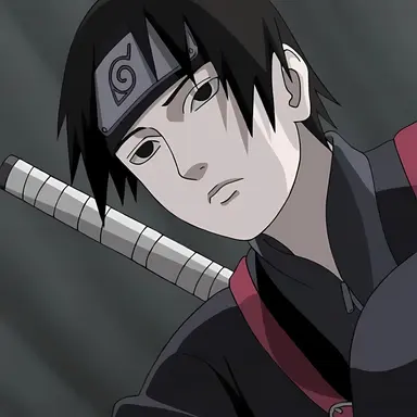 Profile image of Sai