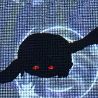 Profile image of 黒い子