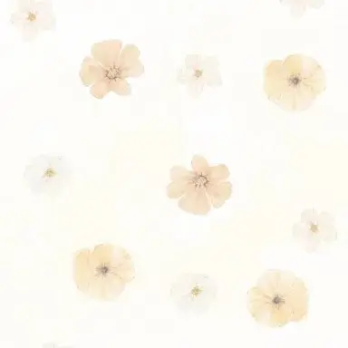 Profile image of 하루짱