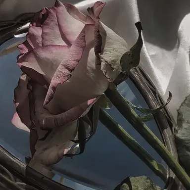 Profile image of 유지민