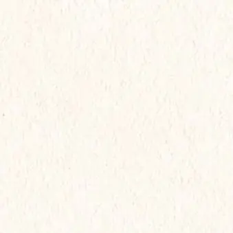 MgQA의 W主演